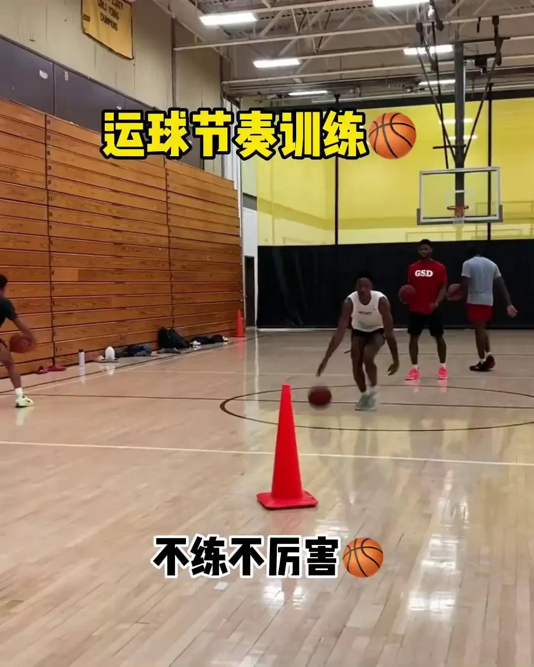 为什么模范教练对篮球发展至关重要_0